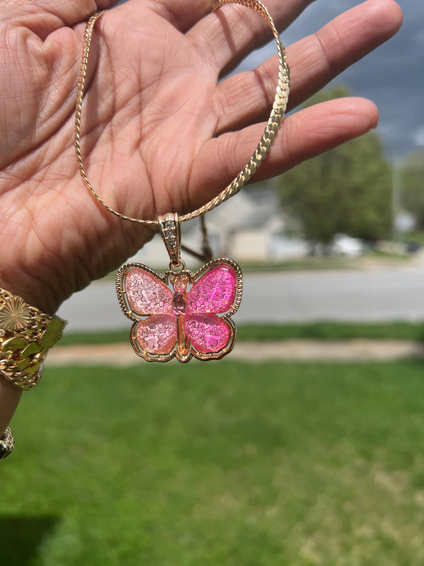 Spring Time Butterfly