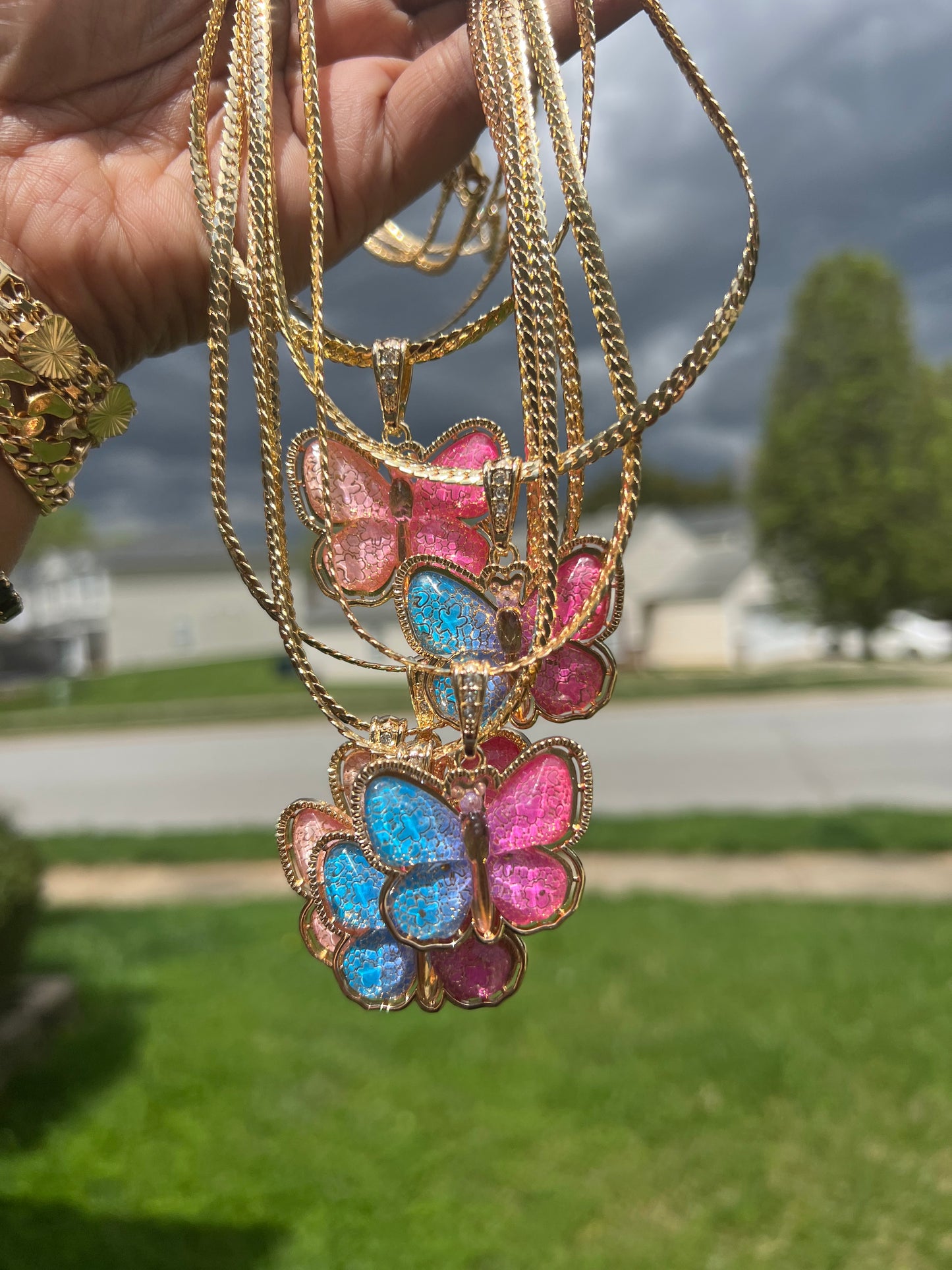 Spring Time Butterfly