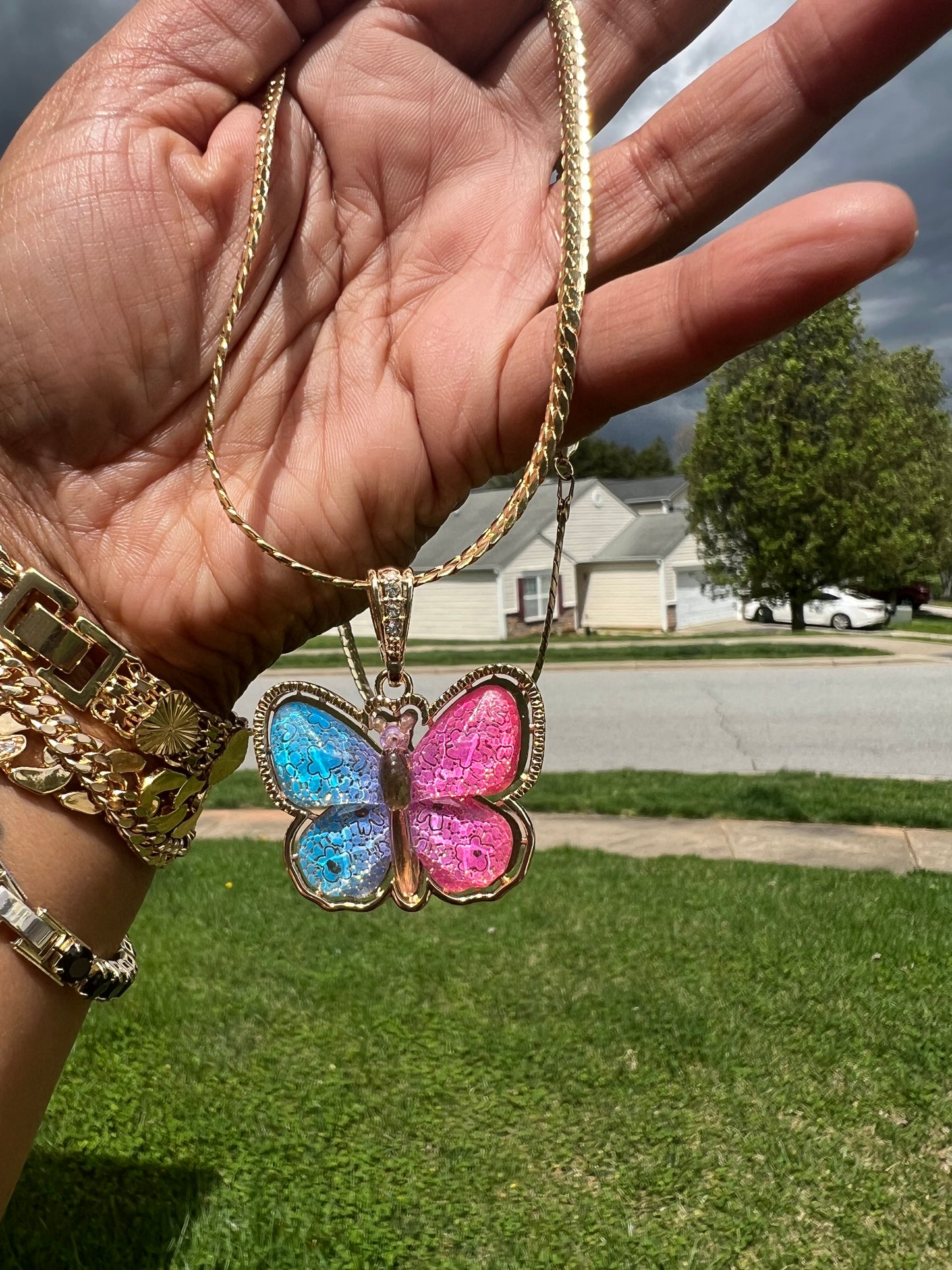 Spring Time Butterfly