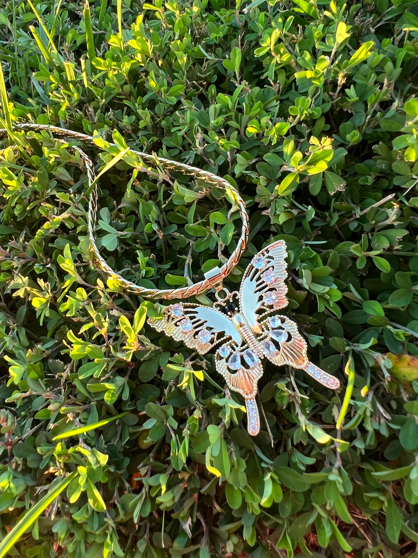 Big Butterfly🦋 Charm